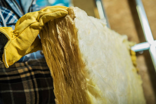Trusted Fort Lee, VA Insulation Contractor Experts
